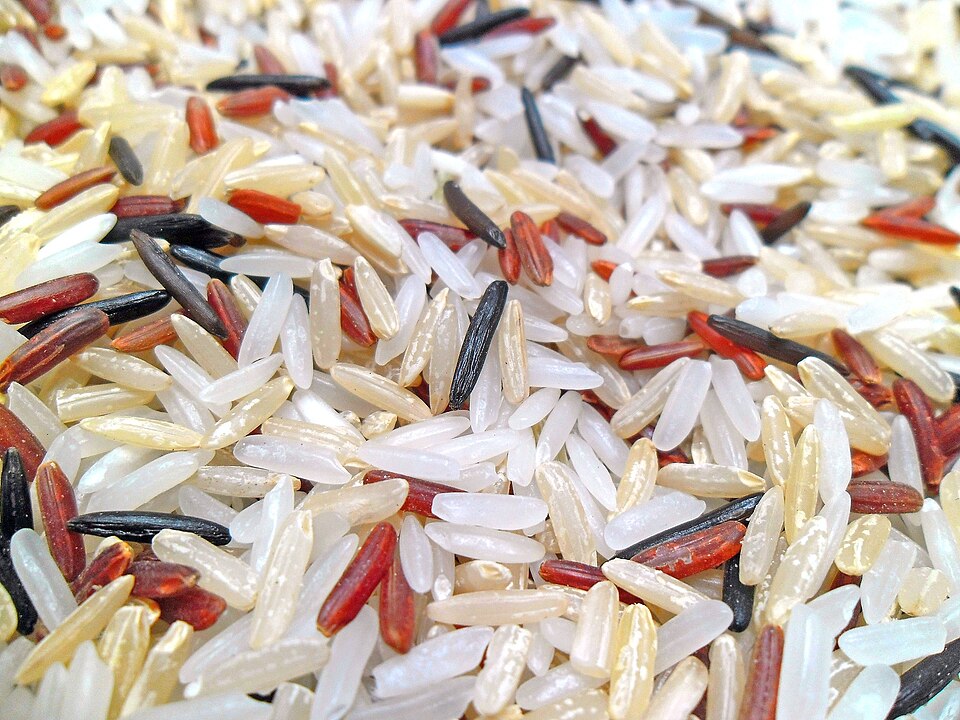 [0000000257] ARROZ AGUL INTEGRAL - VOLKMANN