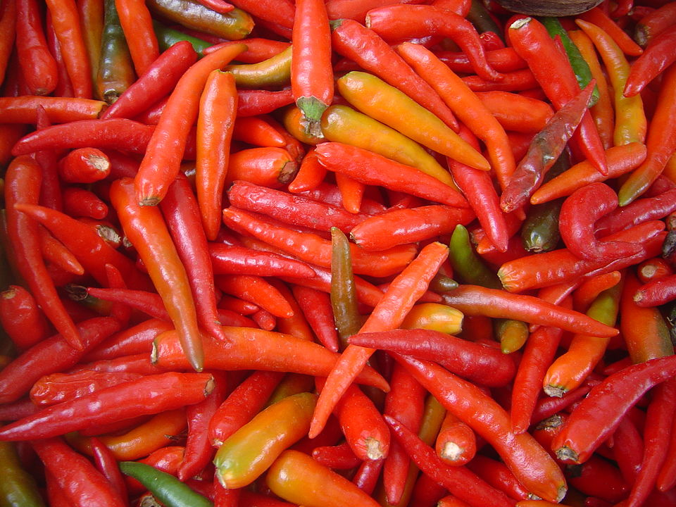 [0000003311] MOLHO PIMENTA JALAPENHO - JATOBA