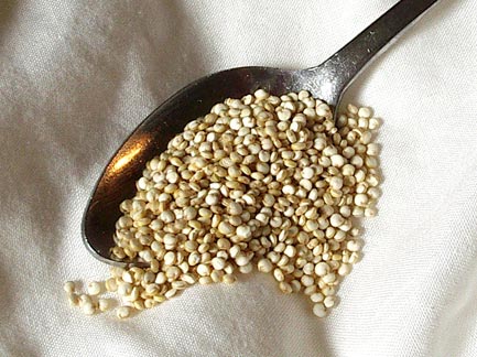 [0000003795] QUINOA MIX GRÃO - NATIVE