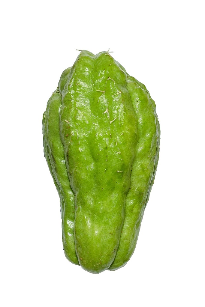 [0000000383] CHUCHU ORGANICO - CAISP