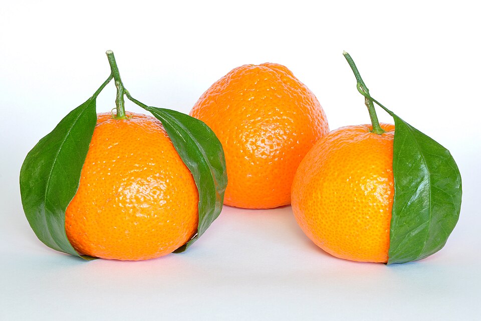 [0000006243] SUCO TANGERINA INTEGRAL - NOVO CITRUS