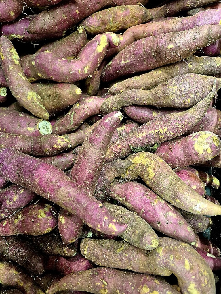 [0000000452] BATATA DOCE - CAISP