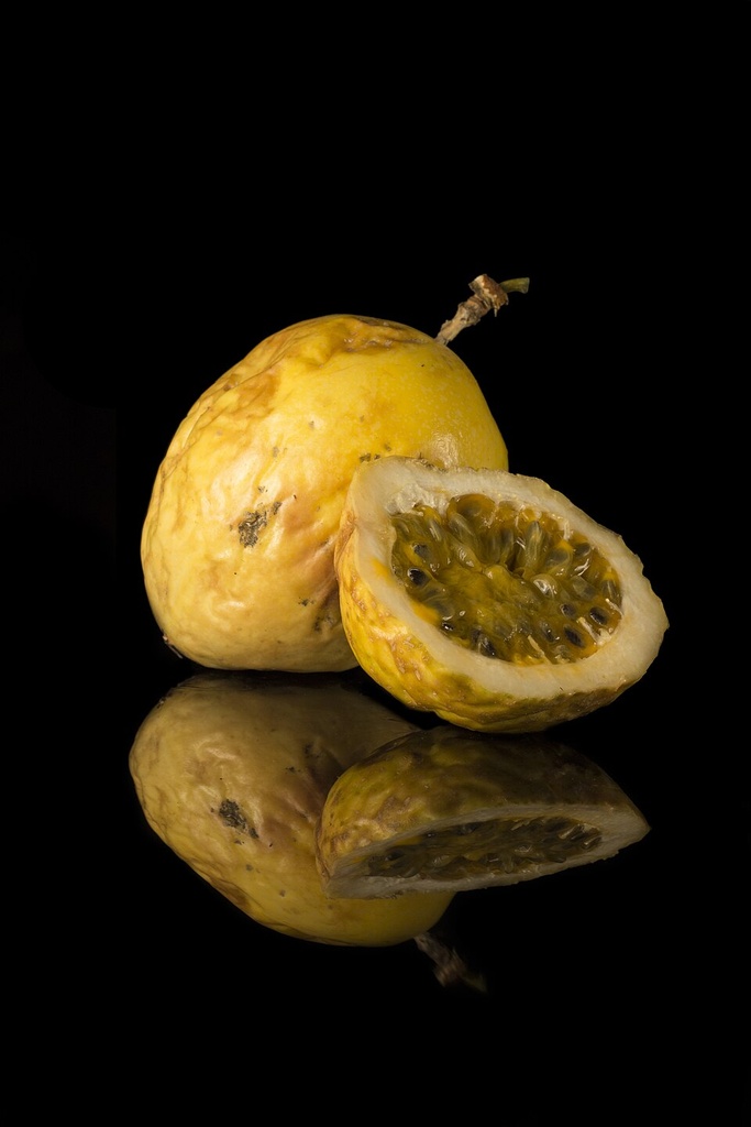 [0000006809] KOMBUCHA MARACUJA -  CA