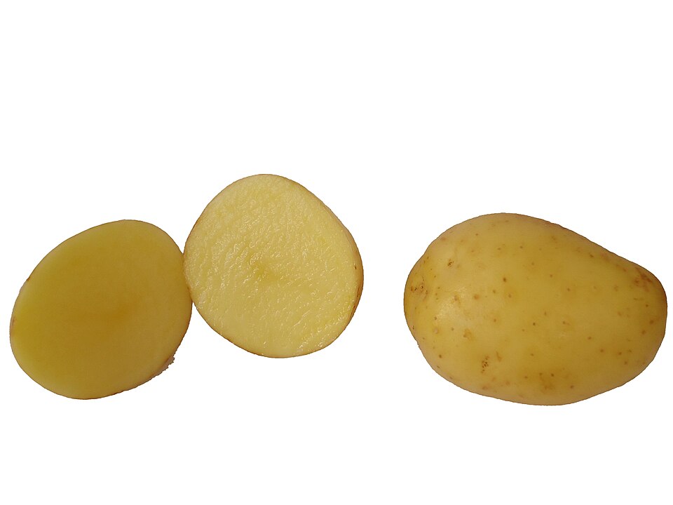 [0000007294] BATATA INGLESA ORGANICA - RANCHO ORGÂNICO