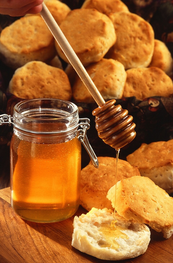 [0000007261] MEL BISNAGA ANGICO ORG - NOBRE FLORA